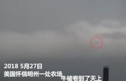 真的“吹牛吹上天”了！實(shí)拍農(nóng)場(chǎng)遭龍卷風(fēng)襲擊牛被吹上天【視頻】