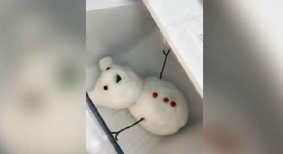 南方姑娘打開冰箱炫耀“寶貝” 全國網友看得笑岔氣【視頻】