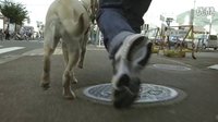 導盲犬小Q (美版預告片)