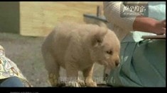 30秒宣傳片
