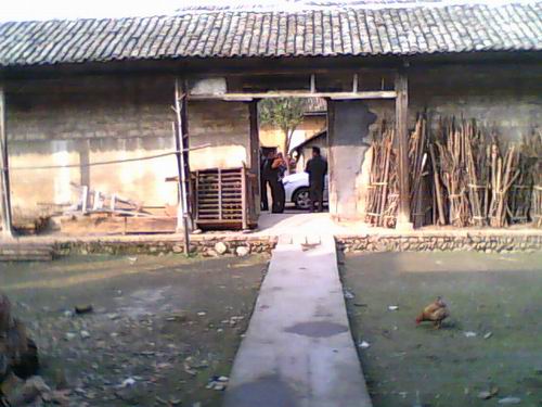 http://www.omega3-ala.com/pics/default/download/0129708444434cbe49d4c664a7b451e5.jpg