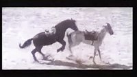 海市蜃樓片段（日版名：天山回廊）