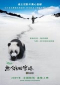 貓熊團(tuán)圓路