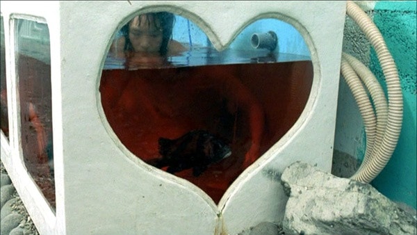 http://www.omega3-ala.com/pics/default/download/04518c4aec1b0478d42f95938c7e54a1.jpg