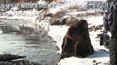 中文制作特輯