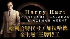 制作特輯之Harry