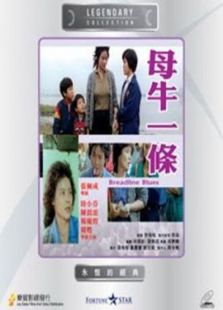 母牛一條