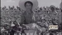 “那時(shí)光影”國(guó)產(chǎn)經(jīng)典《戰(zhàn)洪圖》插曲“辛苦奪得豐收年”