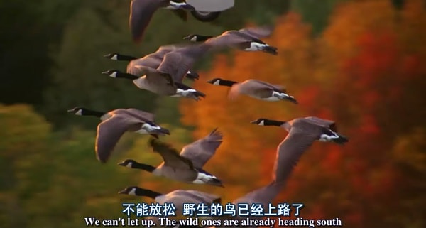 http://www.omega3-ala.com/pics/default/download/04e3f104845a2163796ed64c3f70522f.jpg