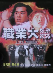 職業大賊