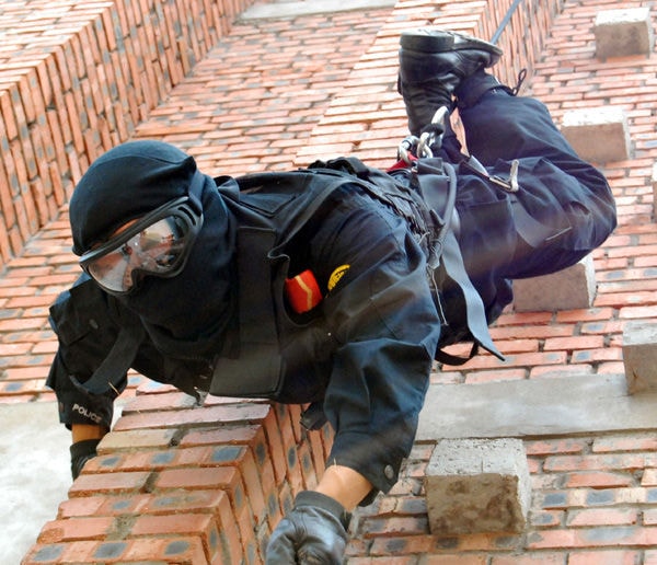 http://www.omega3-ala.com/pics/default/download/053b65a9bb8cb297933c2bc1ba68b05e.jpg