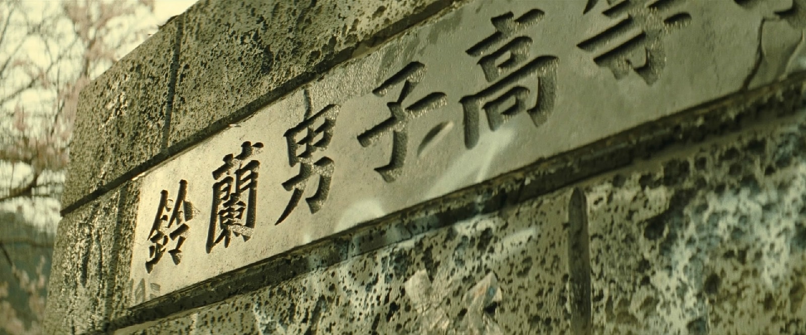 http://www.omega3-ala.com/pics/default/download/0614ec1a96776208d63b2d6172707eae.jpg