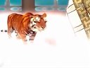 降龍變身
