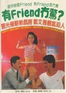有FRIEND冇驚 粵語