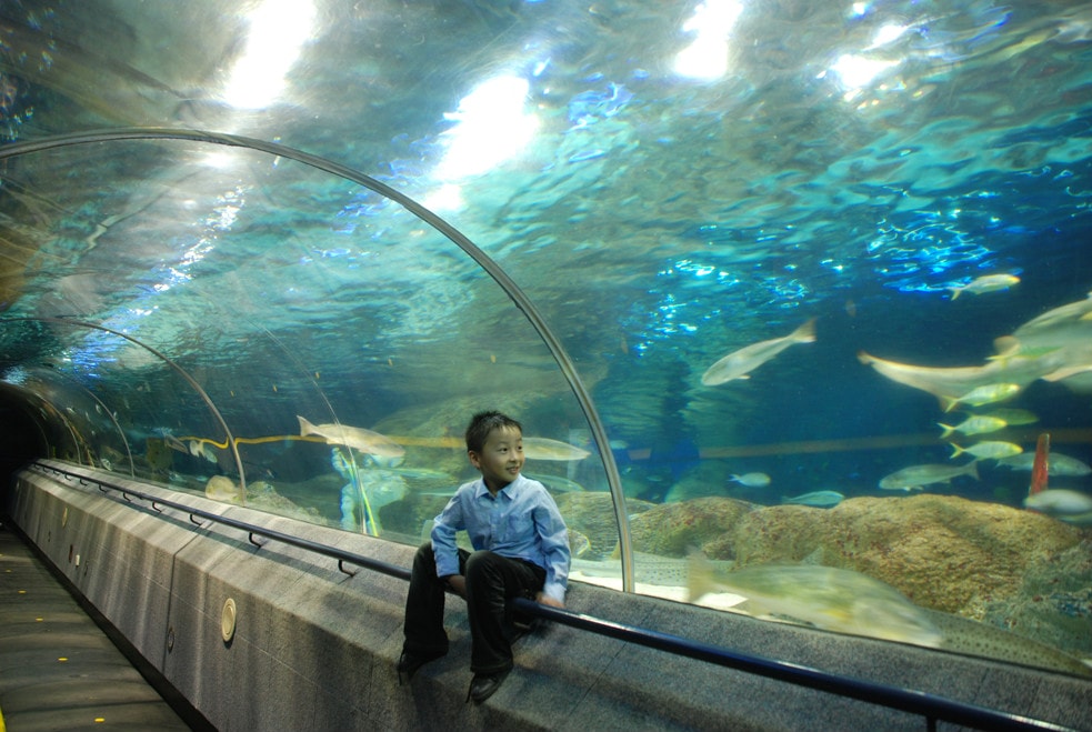 http://www.omega3-ala.com/pics/default/download/07477384140883ad227d57fb3d4536e8.jpg