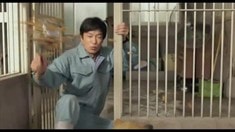 預(yù)告片
