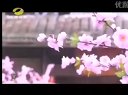 大丫鬟02集－蕭清羽