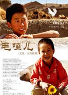 毛嗑兒