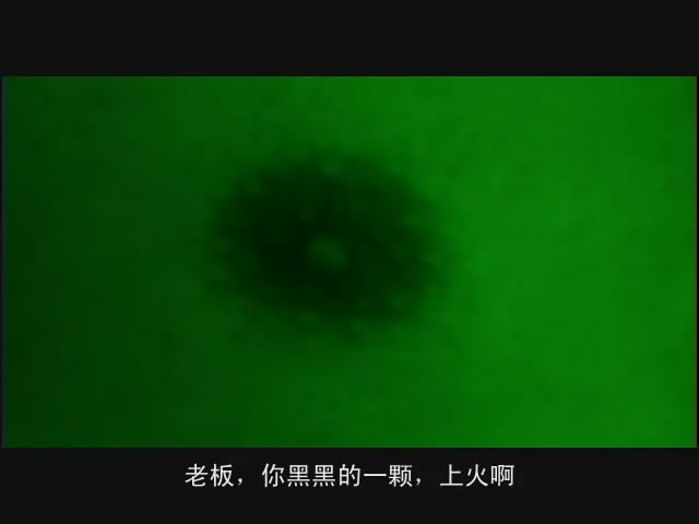 http://www.omega3-ala.com/pics/default/download/08a5820f6014d21275bab4557c9ea49f.jpg