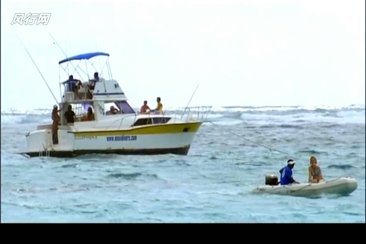 http://www.omega3-ala.com/pics/default/download/08c83309192df13d8457885b5d849397.jpg