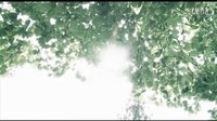 20111022張斌   徐芳-俞氏婚慶-零距離印象
