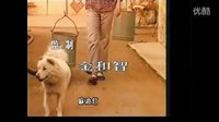 [懷舊經典][《籬笆·女人和狗》主題曲]籬笆墻的影子