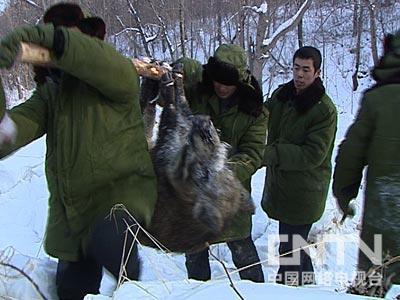 http://www.omega3-ala.com/pics/default/download/0931f2ab38b0338215d2237cbc07569f.jpg