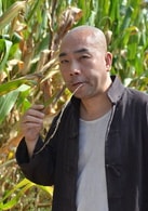 楊議