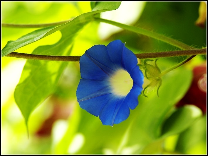 http://www.omega3-ala.com/pics/default/download/097a5d91eec51ea536934c7e31a8b580.jpg