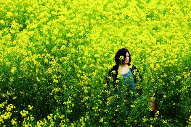 http://www.omega3-ala.com/pics/default/download/0ac483d793e85fa4fdfe41001f01c254.jpg