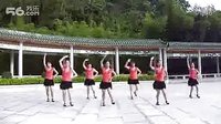 百家廣場舞 玫瑰花開