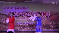越劇聯唱【天上掉下個林妹妹】【我家有個小九妹】【手心手背都是肉】蕪湖市戲劇家協會