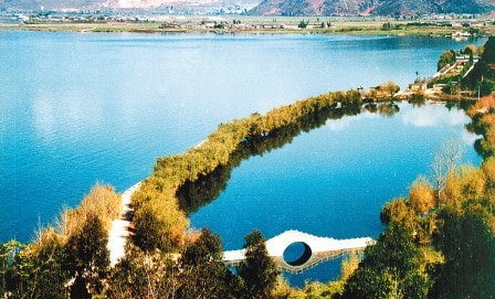 http://www.omega3-ala.com/pics/default/download/0b8850a7a810ca36d86d9a9b6de9aa5b.jpg