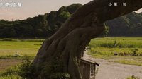 《足音 ~Be Strong》信長協奏曲主題曲-電影版-Mr.Children