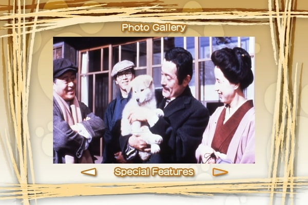 http://www.omega3-ala.com/pics/default/download/0c0069184f86d7a9e5b8e4a9eab48e9c.jpg