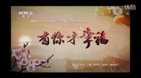 紅妝和熱播電視劇