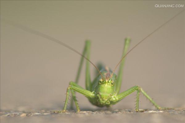 http://www.omega3-ala.com/pics/default/download/0c7c32b5bd12e0cb915d7f0e12c2faf0.jpg
