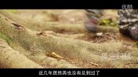 鳥人0831