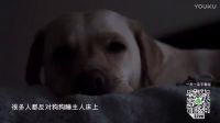 制片人帶著他的拉布拉多，告訴你，狗狗何時(shí)對(duì)你墜入愛河？