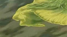 預(yù)告片