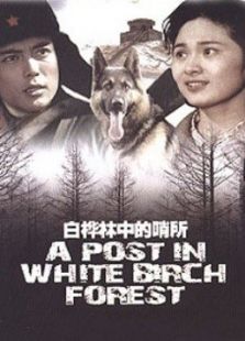 白樺林中的哨所