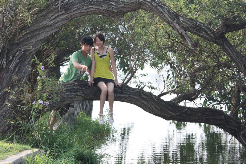http://www.omega3-ala.com/pics/default/download/0e55b88167a20a851b0042b1b5ef0f86.jpg
