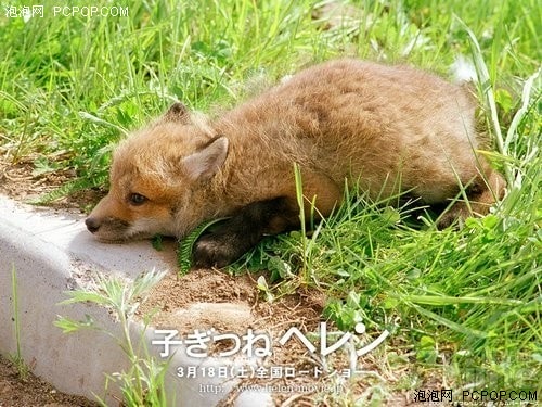 http://www.omega3-ala.com/pics/default/download/0ed07c8e883d4703c13e6a42903b1710.jpg