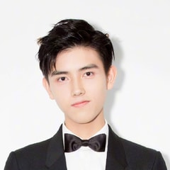 陳飛宇?