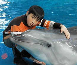 http://www.omega3-ala.com/pics/default/download/0f9744fd0081e37c31582c3309f87827.jpg