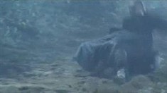 終極版預告片