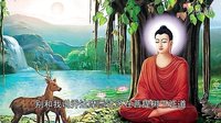 六石說(shuō)書(shū)之西游局中局：4、大鬧天宮背后的驚天秘密