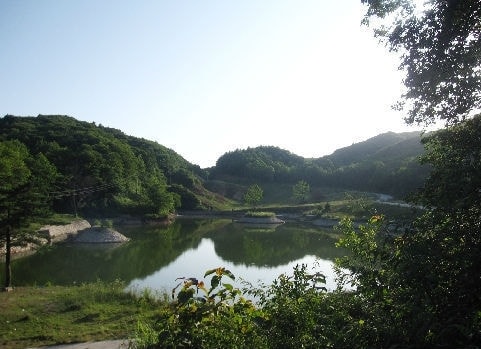 http://www.omega3-ala.com/pics/default/download/1166e7a530ee58eaafa071b7be1e0c1f.jpg