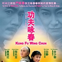 功夫詠春 高清海報(bào)