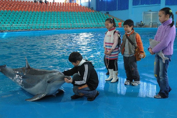 http://www.omega3-ala.com/pics/default/download/136f2cc195c450ccffa8bf2ec66d3ae6.jpg